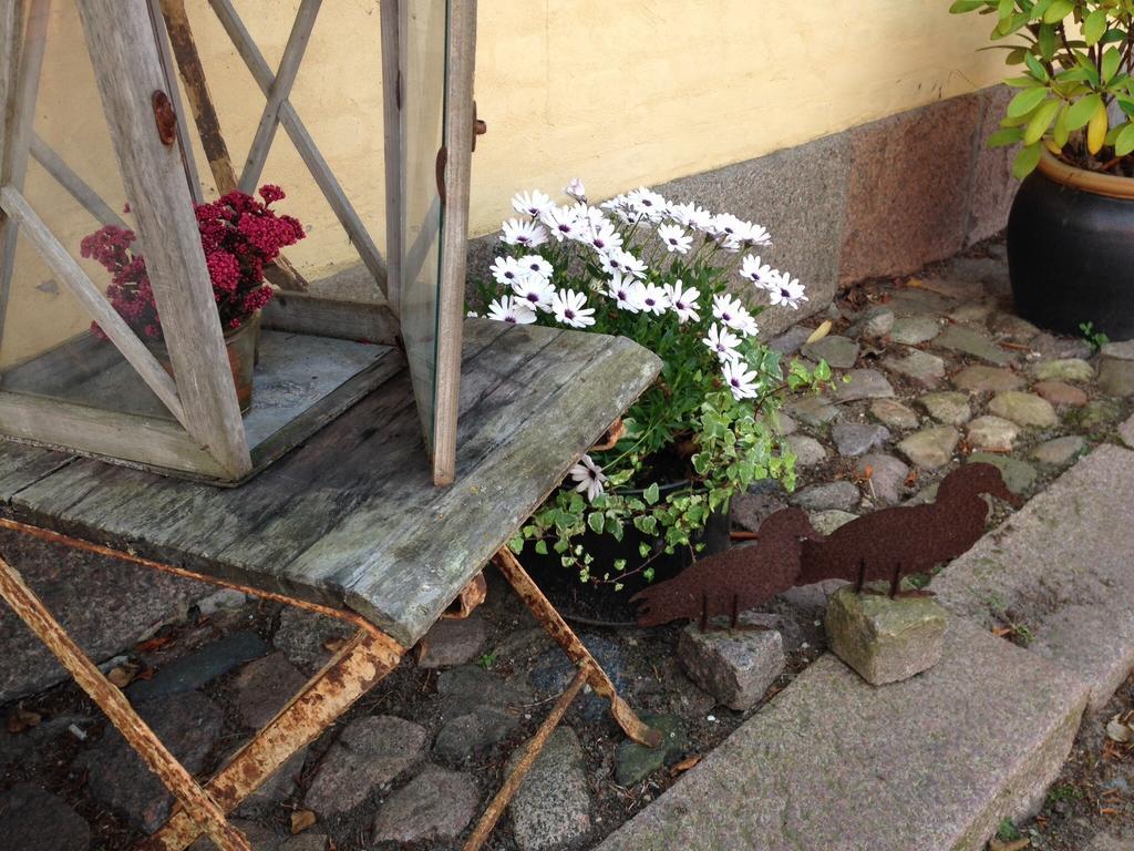 Birkende Bed And Breakfast Langeskov Extérieur photo